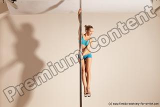 poledance reference 02 28